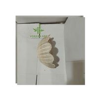 Panier suspendu pliable en rotin fait main pour une utilisation en intérieur/extérieur, décoration murale écologique, pot de fleurs