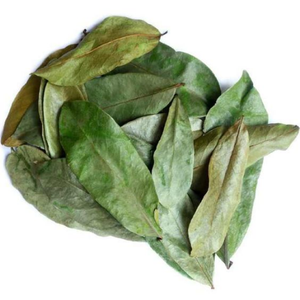 ใบทุเรียนเทศแห้งทั้งใบ | แห้งด้วยมือและอากาศแห้ง | ใบ annona muricata guanabana | annona muricata - Product Image 1