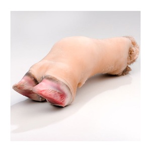 Compre Patas de Res Congeladas / Patas de Vaca en Venta - Product Image 3