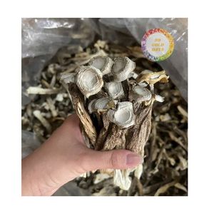 GOOD PRICE <b>DEER</b> <b>ANTLER</b> DRIED MUSHROOM EXPORT QUALITY CHEAP PRICE DRIED MUSHROOM MADE IN VIETNAM TOP <b>SALE</b> DRIED MUSHROOM <b>FOR</b> <b>SALE</b> - Product Image 3