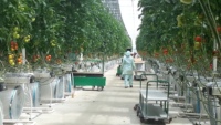 Melhor Qualidade Novo Carrinho Elétrico Metálico para Tubos e Trilhos com Cabo de Aço, Capacidade de Carga de 0,5 Toneladas, Controle Remoto, para Estufas Agrícolas e Cultivo de Tomate