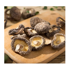 Polvo de Champiñones Shiitake al por Mayor con Ingredientes Naturales de Primera Calidad de Vietnam - Product Image 4