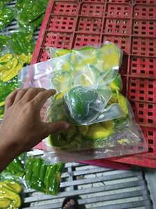 Suministro de aguacate congelado de grado superior a granel al mejor precio aguacate congelado Premium de Vietnam - Product Image 4