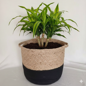 Panier de rangement tressé multifonctionnel moderne en jute et coton, écologique - Product Image 1