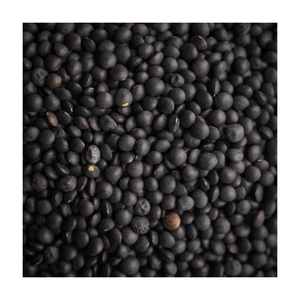 Lentilles noires béluga biologiques en vrac Lentilles rouges vertes séchées Chana Dal-pour usage alimentaire directement du fournisseur en gros - Product Image 4