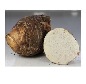 Egyptian taro premium quality farm produce for sale at affordable price bulk supply to UK USA Gulf EU wholesale markets globally