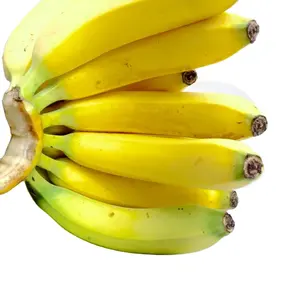 Wholesale Price Fresh Green Banana Cavendish/ Banana Grade A High Quality Natural color Sweet Taste