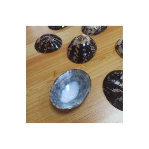 Coquillages d'allaitement naturels Coquilles de mer ovales polies Coquilles d'allaitement du Vietnam - Product Image 5