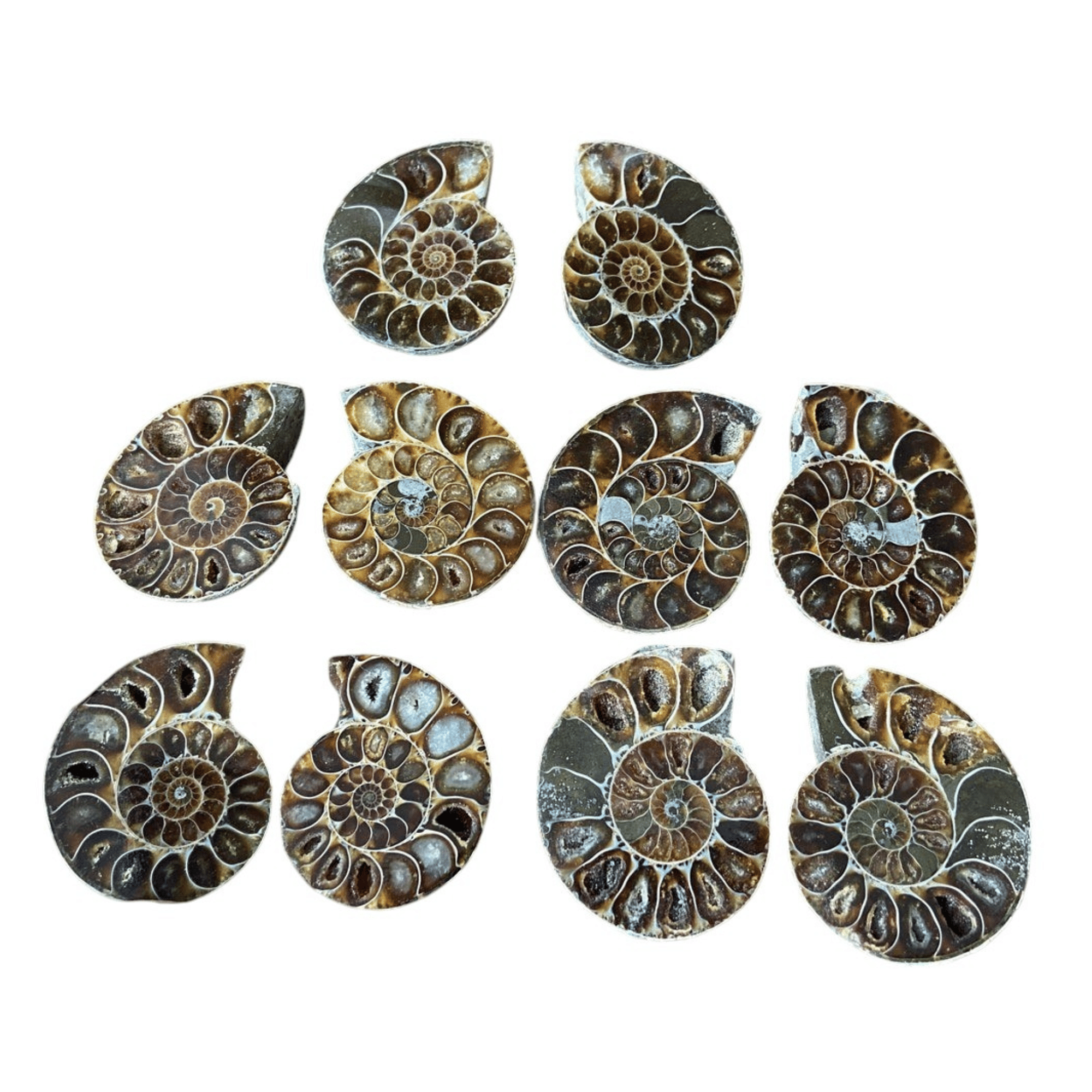 ตามที่แสดง