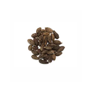 Cardamom Green High Quality Cardamom Factory Price Best Spices Green Shell Black, Green And Brown Cardamom Seeds Top Selling Car