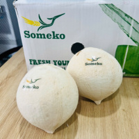 SUPER AANBIEDING: verse jonge kokosnoot voor een scherpe prijs en met een heerlijke smaak