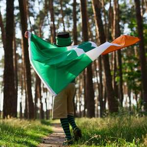 Drapeau irlandais brodé trèfle à quatre feuilles 4x6 pieds pour extérieur, drapeaux trèfles irlandais robustes pour la Saint-Patrick et décorations de mariage, 2 supports en laiton - Product Image 1