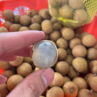 Vietnam Idor Longan Met Zoete Sappige Smaak Dunne Schil En Klein Zaadje Ideaal Voor Verse Consumptie En Exportdistributie