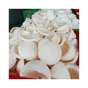 Frozen Coconut Meal From Vietnam In Bulk Packaging For Wholesale And B2B <b>Food</b> Industry Use - Product Image 4