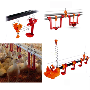 Système d'alimentation automatique pour volaille Système d'alimentation automatique pour volaille Mangeoire pour poulet fabriquée au Vietnam Fabricant de la meilleure qualité - Product Image 2