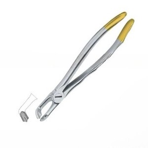 Fórceps de extracción de dientes dentales Fig.79 Diam Logotipo personalizado de calidad superior plateado con instrumentos dentales de acero inoxidable dorado - Product Image 3