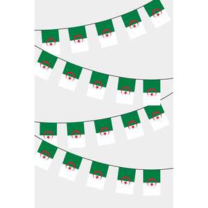 Guirlande de drapeaux rectangulaires algériens personnalisés, impression numérique sur bannières en coton, nylon, plastique, polyester, logo personnalisé - Product Image 1