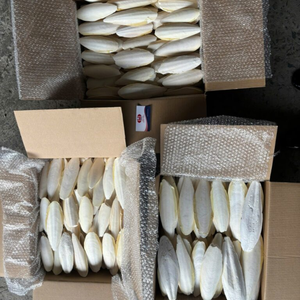 Os de seiche séchés de première qualité pour le marché des aliments pour animaux de compagnie - Product Image 2