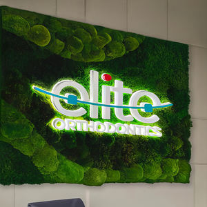 Company 3D Wall Moss Letters Office Sign Interiors Vertical Moss Art Natural Decor Logo Sign para negocios - Product Image 5