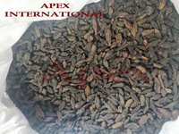 Terminalia Chebula Zwart Terminalia Chebula Zwart Himej Groothandel Terminalia Chebula Zwart Zwart Terminalia Chebula Leverancier