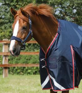 Couverture de cheval équestre haut de gamme imperméable et respirante, fournisseur de couvertures de cheval personnalisées, couverture de cheval durable pour tous les temps - Product Image 5