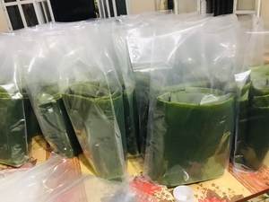 ใบกล้วยแช่แข็งเวียดนาม คุณภาพสูง พร้อมส่งออก - Product Image 6