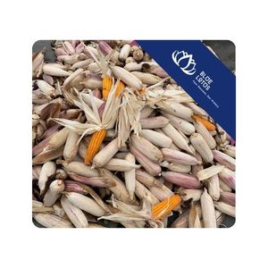 Maïs séché de haute qualité, style rustique de ferme, pour décoration, idéal pour créer un thème agricole et une mise en scène visuelle, Vietnam - Product Image 1