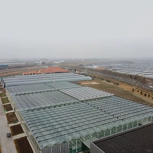 Invernadero de Vidrio Multi-Span Profesional Tipo Venlo para Agricultura Comercial con Sistema Inteligente de Control Climático - Product Image 1