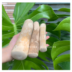 Meilleure vente 2025 jouet pour chien à mâcher en bois de café naturel/bâton de jouet pour chien en bois de café pour chien avec logo laser personnalisé fabriqué au Vietnam - Product Image 6