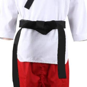 Fabricant professionnel d'équipements d'arts martiaux, ensembles d'uniformes de Taekwondo, vêtements de compétition, 100% coton, respirant, séchage rapide, haute qualité - Product Image 3
