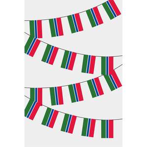Banderines Rectangulares Gambianos con Logotipo Personalizado Impreso Digitalmente, de Plástico/Poliéster/Seda, con Cuerda - Product Image 1