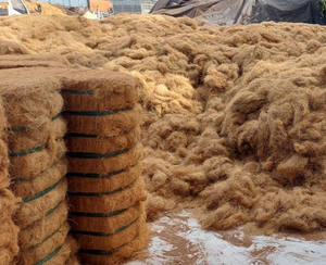 FIBRE DE COCO DU VIETNAM À DES PRIX COMPÉTITIFS - Product Image 3
