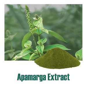 Polvo Apamarga de calidad superior 100%, extracto de hierbas naturales, grado alimenticio saludable para desintoxicación, salud digestiva, cuidado de la piel de la India - Product Image 3