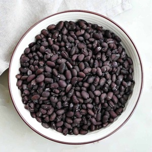Vente de haricots noirs frais Haricots noirs de qualité supérieure avec une grande pureté et une saveur riche et naturelle pour un approvisionnement à grande échelle - Product Image 2