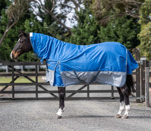 겨울 방수용 프리미엄 폴리에스터 말 깔개 저렴하고 따뜻함과 완벽한 보호에 맞게 맞춤 - Product Image 2