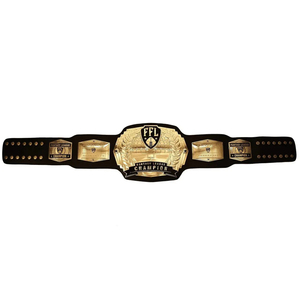 United States & World Heavyweight Wrestling Championship Belt-Adult Size High Quality Brass & Zinc & Leather Unisex - Product Image 1