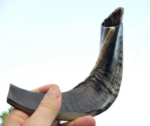 Shofar de Concha Marina Natural Pulida a Mano para Tocar y Fines Religiosos, Kosher, Alta Calidad, Angel Love CRESCENT CRAFTS - Product Image 3