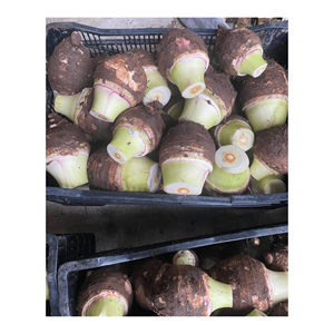 Premium Grade Frozen <b>Taro</b> High Quality Sliced Export Vegetables Competitive Price - Product Image 3