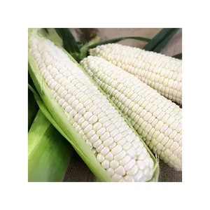 Maíz blanco de la mejor calidad, maíz blanco dulce estilo congelado a buen precio, venta al por mayor - Product Image 4