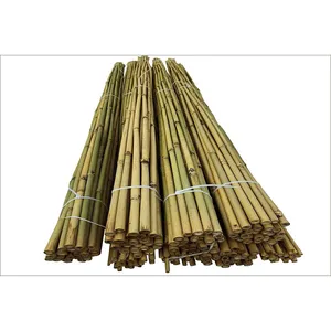 Grosir Vietnam bambu tongkat ringan-100% bambu alami untuk bunga pembibitan tanaman dukungan
