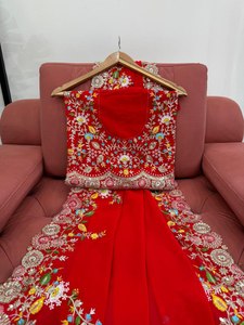 Sari rojo de boda pakistaní indio de gran venta con blusa sin costuras Material de Georgette falso también hilo Sequnce trabajo - Product Image 6
