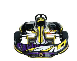 BEST-SELLER - Go-karts électriques sportifs pour adultes 80 km/h, 72V 12000W avec plusieurs modes de conduite - LIVRAISON RAPIDE - Product Image 1