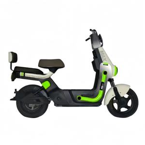 Haute qualité 500W vélo électrique 12 vitesses en acier au carbone cadre <span class=keywords><strong>frein</strong></span> à <span class=keywords><strong>tambour</strong></span> moteur sans balais affichage numérique ville batterie au plomb - Product Image 6