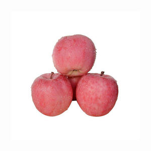 Red Delicious Apple Venta al por mayor Origen Bulk Sweet Red Delicious, Gala, Granny, Starking Apples - Product Image 2