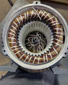 Venta al por mayor de chatarra de motores eléctricos / Alternadores/Arrancadores de origen alemán en venta - Product Image 5