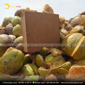 Coco Than Bùn Giá Tốt Coco Than Bùn Đất Coco Than Bùn Hữu Cơ Túi Cho Các Nhà Máy Và Hạt Giống Made Trong Việt Nam - Product Image 2