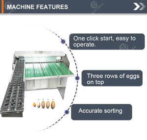 कम शोर डिजाइन के साथ अंडे सॉर्टिंग मशीन, स्वचालित अंडे उत्पादन लाइनों के लिए निरंतर संचालन - Product Image 3