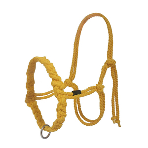 2024 Venta caliente estilo inglés caballo productos de alta calidad duradero occidental cuerda trenzada cuero Nylon PVC PP sillín brida Halter - Product Image 3