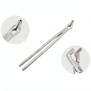 REHMAT NOOR INDUSTRY RN-FFLNF-001 Pince dentaire à long bec, instrument de chirurgie buccale vétérinaire équine, extraction de fragments molaires - Product Image 3