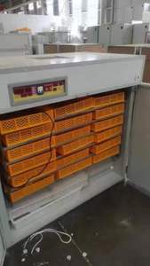 Incubateur à œufs <span class=keywords><strong>de</strong></span> poulet entièrement automatique 200-4224, machine à couver les œufs <span class=keywords><strong>de</strong></span> caille, <span class=keywords><strong>prix</strong></span> des incubateurs - Product Image 5